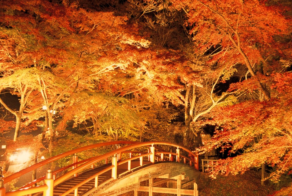 伊香保温泉・河鹿橋の紅葉ライトアップ（伊香保温泉 福一から徒歩圏の絶景スポット）